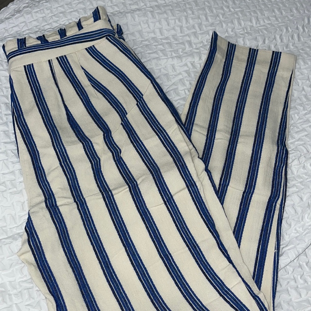 Express Striped Pants